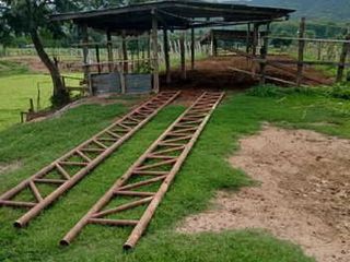 For sale land in Thung Chang, Nan