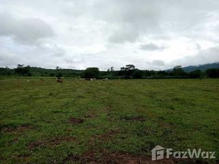 For sale land in Thung Chang, Nan