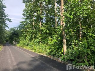 For sale land in Muang Nan, Nan