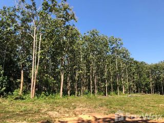 For sale land in Muang Nan, Nan