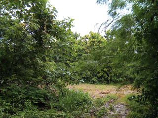 For sale land in Ban Rai, Uthai Thani