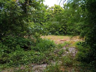 For sale land in Ban Rai, Uthai Thani