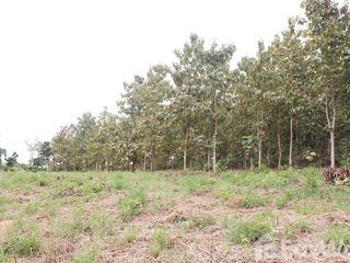 For sale land in Si Satchanalai, Sukhothai