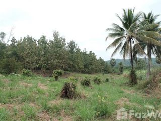 For sale land in Si Satchanalai, Sukhothai