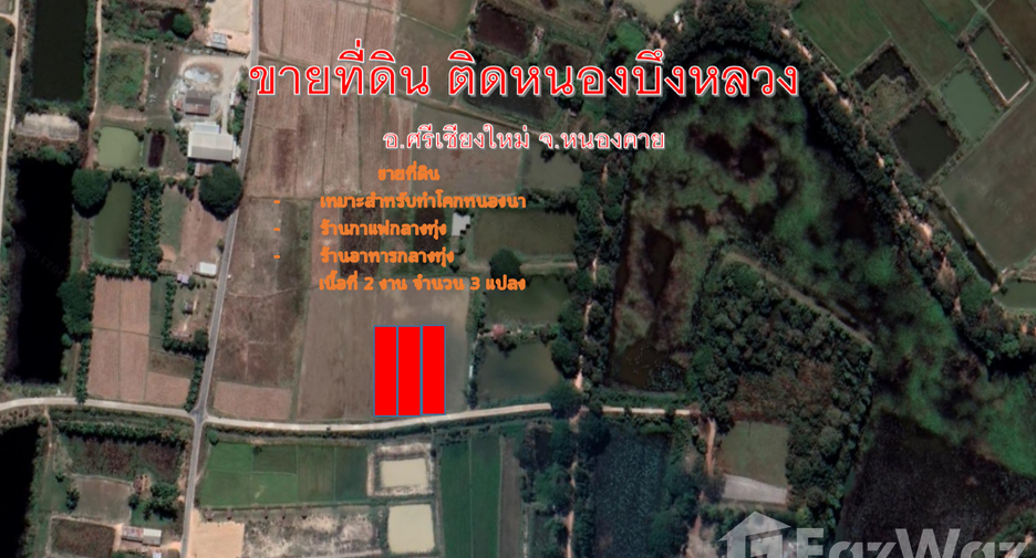 For sale land in Si Chiang Mai, Nong Khai