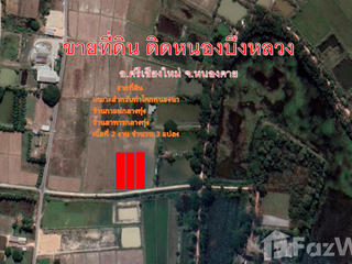 For sale land in Si Chiang Mai, Nong Khai