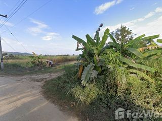 For sale land in Doi Luang, Chiang Rai