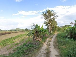 For sale land in Doi Luang, Chiang Rai