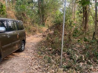 For sale land in Ban Thi, Lamphun