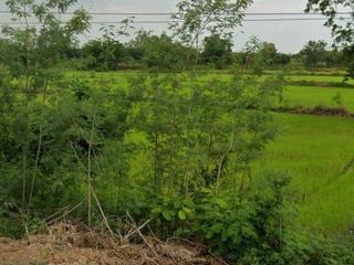 For sale land in Tha Ruea, Phra Nakhon Si Ayutthaya