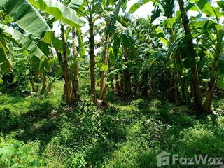 For sale land in Hat Yai, Songkhla