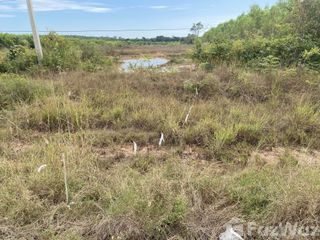 For sale land in Rattanawapi, Nong Khai