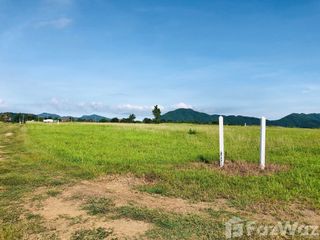 For sale land in Nong Phai, Phetchabun