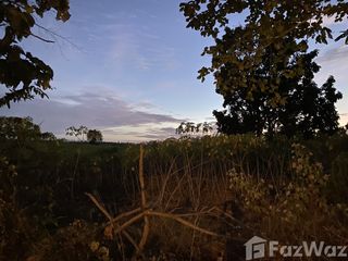 For sale land in Pla Pak, Nakhon Phanom