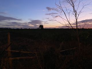 For sale land in Pla Pak, Nakhon Phanom