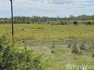 For sale land in Si Songkhram, Nakhon Phanom