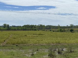 For sale land in Si Songkhram, Nakhon Phanom