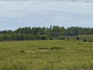 For sale land in Si Songkhram, Nakhon Phanom