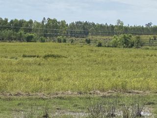 For sale land in Si Songkhram, Nakhon Phanom