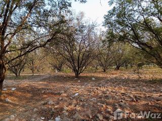 For sale land in Lom Kao, Phetchabun