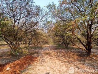 For sale land in Lom Kao, Phetchabun