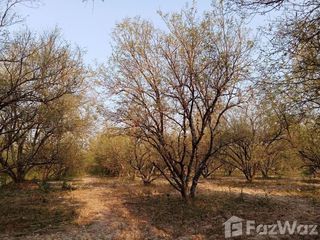 For sale land in Lom Kao, Phetchabun