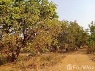 For sale land in Lom Kao, Phetchabun