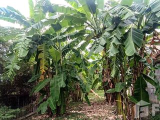For sale 3 bed house in Ban Bueng, Chonburi