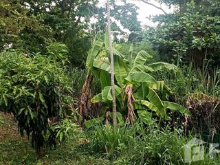 For sale 3 bed house in Ban Bueng, Chonburi