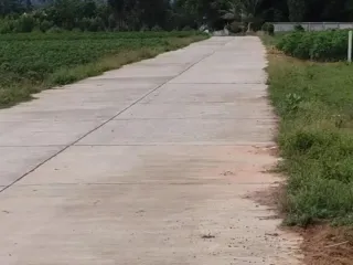For sale land in Khok Sung, Sa Kaeo