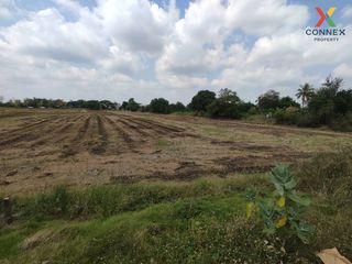 For sale 1 bed land in Mueang Pathum Thani, Pathum Thani