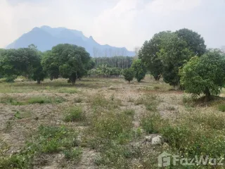 For sale land in Chiang Dao, Chiang Mai