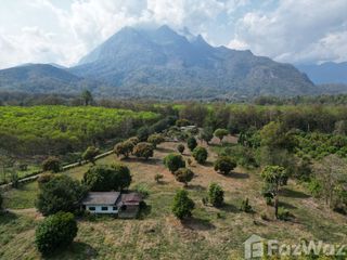 For sale land in Chiang Dao, Chiang Mai