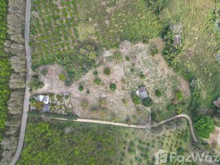 For sale land in Chiang Dao, Chiang Mai