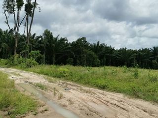 For sale land in Khlong Thom, Krabi
