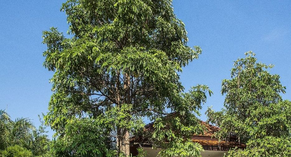 For sale 6 bed villa in Cha Am, Phetchaburi