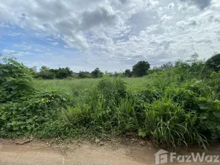For sale land in Chiang Yuen, Maha Sarakham