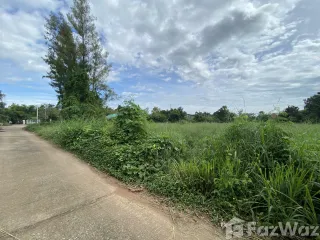 For sale land in Chiang Yuen, Maha Sarakham
