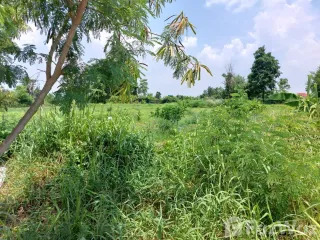 For sale land in Chok Chai, Nakhon Ratchasima