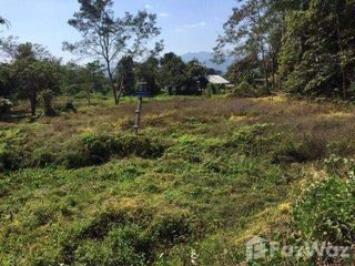 For sale land in Pai, Mae Hong Son