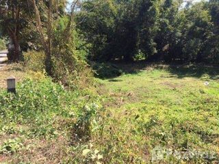 For sale land in Pai, Mae Hong Son