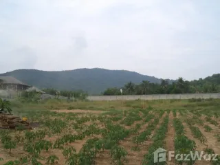 For sale land in Sattahip, Pattaya