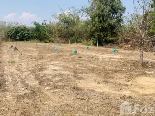 For sale land in San Kamphaeng, Chiang Mai