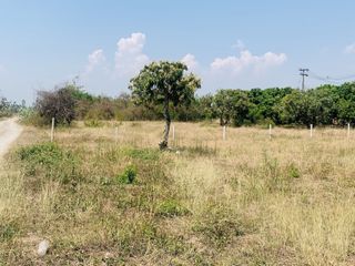 For sale land in San Kamphaeng, Chiang Mai