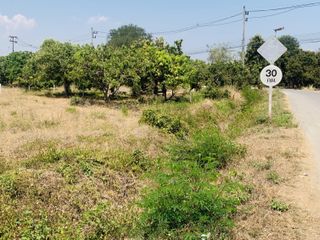 For sale land in San Kamphaeng, Chiang Mai