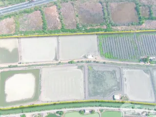 For sale land in Kamphaeng Saen, Nakhon Pathom