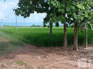 For sale land in Phu Kamyao, Phayao