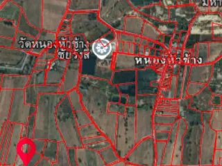 For sale land in Dan Khun Thot, Nakhon Ratchasima