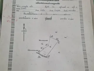 For sale land in Dan Khun Thot, Nakhon Ratchasima