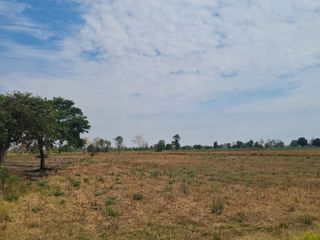 For sale land in Dan Khun Thot, Nakhon Ratchasima